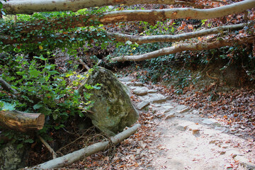 The path of the centaurs (after Cyclone Daniel) Portaria Pelion Greece