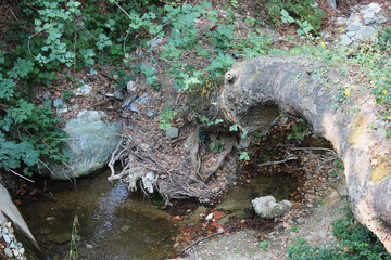The path of the centaurs (after Cyclone Daniel) Portaria Pelion Greece