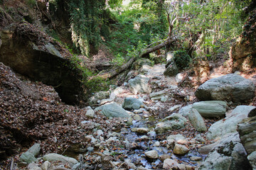 The path of the centaurs (after Cyclone Daniel) Portaria Pelion Greece