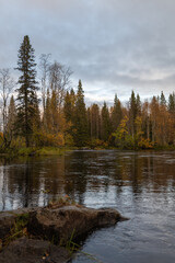 Obraz premium Rushing River Through Autumn Foliage in Vikäköngäs, Rovaniemi – A Stunning Lapland Waterfall Scene