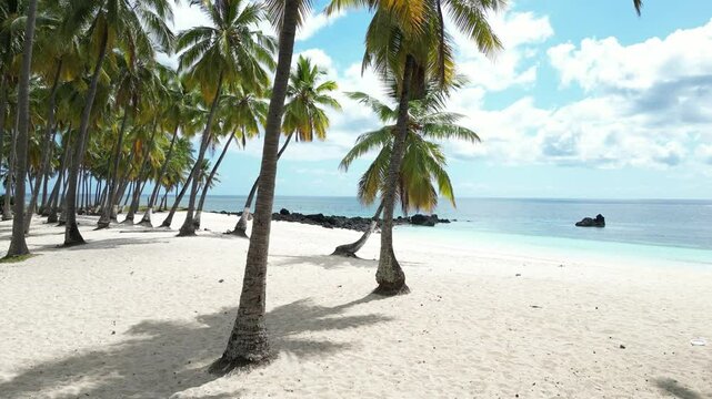 Tropical beach with palm trees, white sand, and clear waters on a sunny day