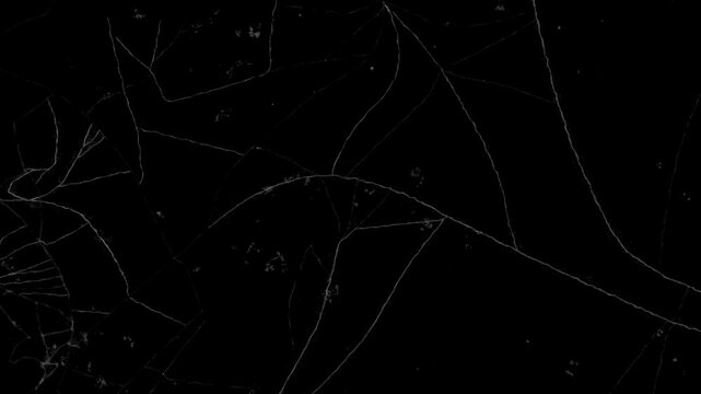 Fractured glass effect on black background