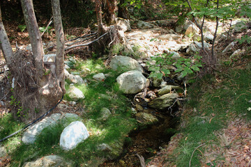The path of the centaurs (after Cyclone Daniel) Portaria Pelion Greece