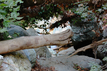 The path of the centaurs (after Cyclone Daniel) Portaria Pelion Greece