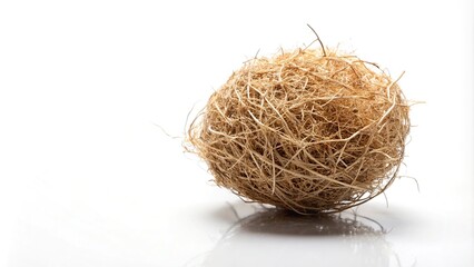Obraz premium Low angle view of tumbleweed isolated on white background