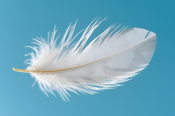 Obraz premium Delicate lucky white feather blue gradient background. Intricate details, fine filaments are highlighted, illustrating its fragile, lightweight nature. 
