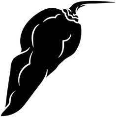 spicy illustration chili silhouette pepper logo spice icon food outline hot chilli vegetable mexican paprika cayenne fresh ingredient cooking shape for vector graphic background