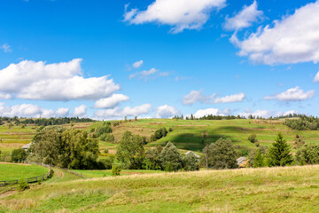 Fototapeta premium rural valley with village behind the field. early autumn green landscape. trees near the grassy pasture. arable on the distant hill. sunny day with fluffy clouds. rolling farmland scenery