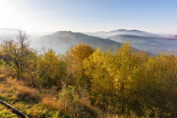 mountain landscape with valley on a foggy morning. trees on the hills in colorful foliage. fall season in carpathian mountains of ukraine. uzhanian national park