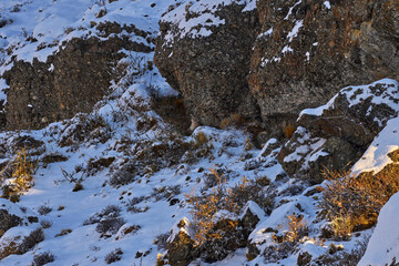 Wild big cat Cougar, Puma concolor, hidden portrait of dangerous animal with stone. Mountain Lion. Wildlife scene from nature. Puma, nature winter habitat with snow, Torres del Paine, Chile.