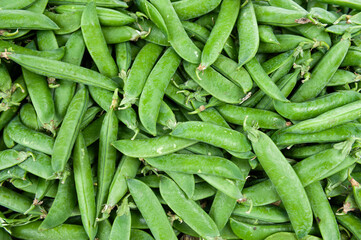 Food market in Copenhagen, Denmark