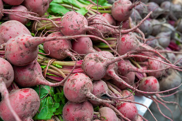 Food market in Copenhagen, Denmark