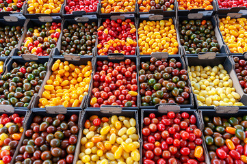 Food market in Copenhagen, Denmark