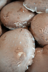 Food market in Copenhagen, Denmark