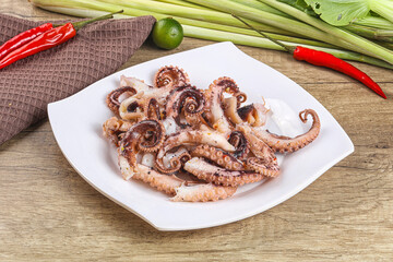 Grilled octopus tentacle sliced appetizer