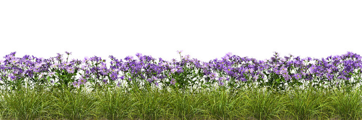 Obraz premium Isolate blossoms flowery row landscaped on transparent backgrounds 3d render png