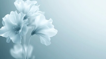 Obraz premium Delicate flowers and leaves blend in a dreamy teal to yellow gradient, enriched by soft focus light rays and a bokeh effect, making space for elegant text