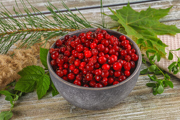 Natural organic wild forwst lingonberry