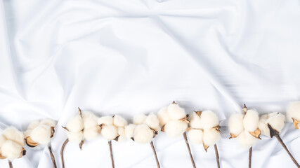 cotton flowers lie on a white sheet. environmentally natural fabrics for clothing and pastel linen.