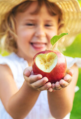 Child with apples in the garden. selective focus.