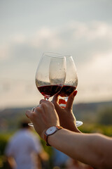 Two glasses of wine making cheers
