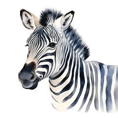 Watercolor of a Minimalist Zebra Icon with Stylized Black and White Stripes on a White Background
