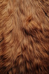 Fototapeta premium Soft Auburn Fur Texture, Close Up, for Banner Background, Texture, or Graphic Design.