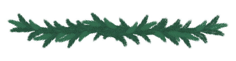 Ornamental fir branches on white background