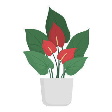 recommend clip art: Beautiful decorative potted lush plant