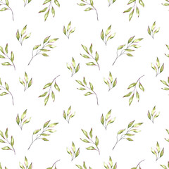 Watercolor leaves branches eucaliptus wallpaper textile wrapping paper background seamless pattern botanical floral desing wedding invitation card