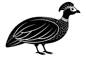 guinea fowl icon with Transparent Background - Versatile Clipart