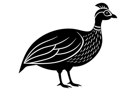 recommend clip art: guinea fowl icon with Transparent Background - Versatile Clipart