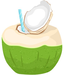 Fruit, Green Coconut, Tropical Fruits, Illustration Hand drawn