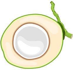 Fruit, Green Coconut, Tropical Fruits, Illustration Hand drawn