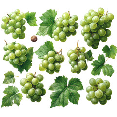 Obraz premium Green Grapes and Vine Leaves