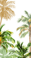 Hand drawn aquarelle palms, illustration for Card or publications