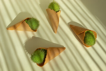 Datura fruits in a ice cream cone on sunlight. Minimalism flat lay