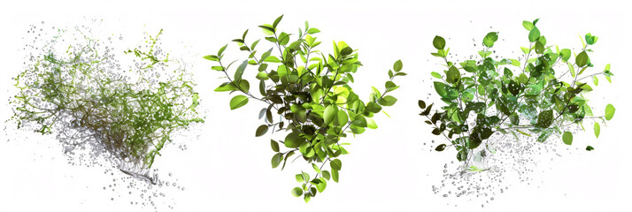 Obraz premium isolated, white background. illustration three splash green leafy plants