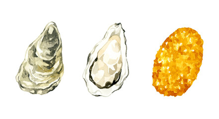 牡蠣と牡蠣フライのセット　料理・食べ物の手描き水彩イラスト素材