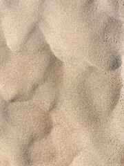 Sand Textured Background