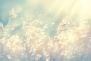 Soft Sunlight on Delicate Grass in Dreamy Landscape