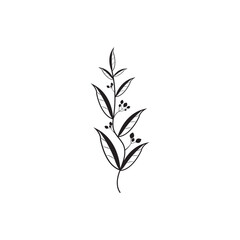 Floral Branch and Minimalist Flowers for Logo or Tattoo