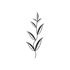 Floral Branch and Minimalist Flowers for Logo or Tattoo