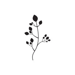 Floral Branch and Minimalist Flowers for Logo or Tattoo