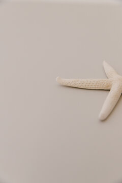 Close up, detail of a beige starfish lying on a light grey table top.