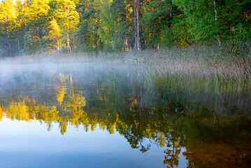 fog on the lake on a sunny autumn morning