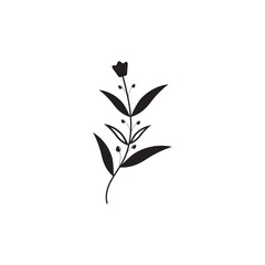 Floral Branch and Minimalist Flowers for Logo or Tattoo