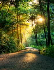 Obraz premium Sunset in a Beautiful Green Forest with Warm Light Illuminating the Trees