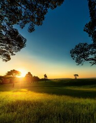 Evening Serenity: Sunset Silhouette Over a Lush Green Field and Forest