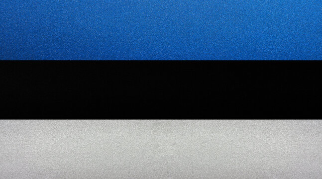 Flagge von Estland